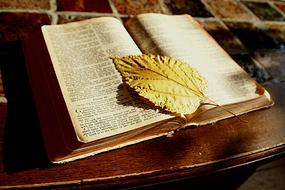 Bible Book and leaf