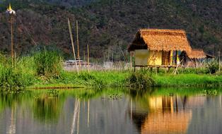Beautiful house on the stilts, among the lake with green plants in Myanmar