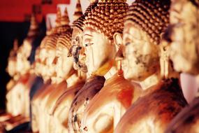Buddha statues