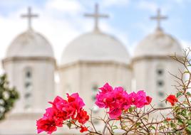 red flowers in front of white Church towers, Greece, Peloponnese