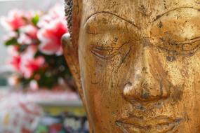 Beautiful, gold statue of Buddha, near the beautiful, red and white flowers