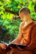 Theravada Monk Buddhist