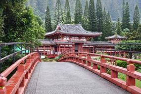 Beautiful and colorful, Japanese temple, with the bridge, among the green trees