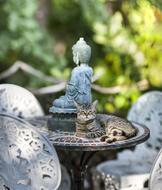 cat rests behind Buddha sculpture outdoor