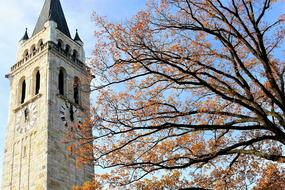 Tree and clock tower at sky, detail
