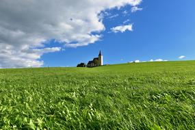 lonely castle on the green field