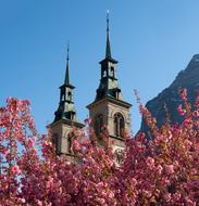 church towers behind the trees with pink flowers