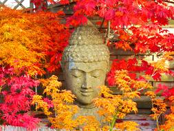 enchanting Buddha Figure Statue