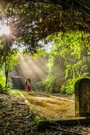 amazing Buddhism Walking