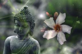 Buddha statue on a background of a flower in a blur