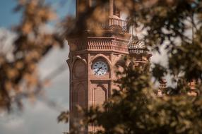 tower of fatima church behind branches, detail, mexico, zacatecas