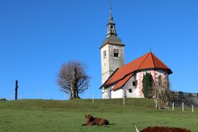 church in Horjul