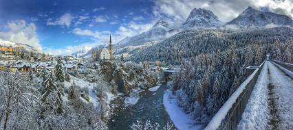 beautiful Winter Snow forest
