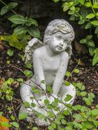 Statue Angel among the branches in the cemetery