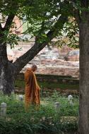 Munk Thailand