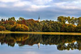 photo of autumn trees by the pond in the park