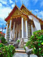 amazing Temple Buddist