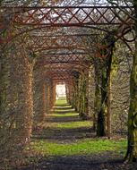 Ambulatory Castle Park