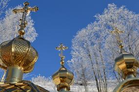 golden domes of the temple against the background of winter trees in Russia