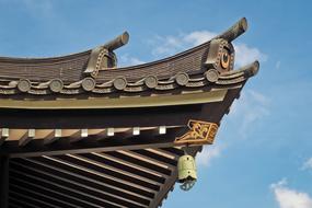 magnificent Roof Detail