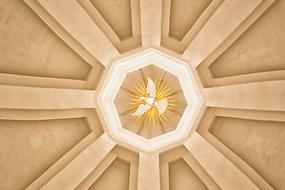 yellow dove bird on a ceiling