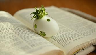 Resurrection, easter egg on open Bible
