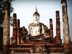 buddha statue among Ancient temple ruin, digital Art