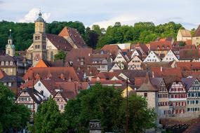 Building Houses City