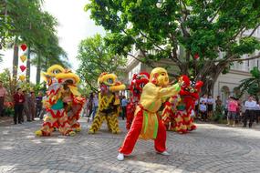 jumping lions in Vietnam