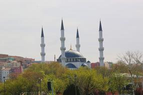 delightful Minaret behind the colorful trees