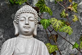 Buddha Sculpture and ivy plants