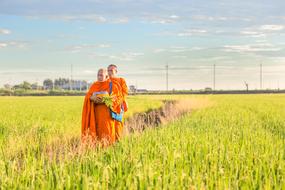 beautiful Buddhism Faith