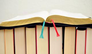 Book Bible Gilt