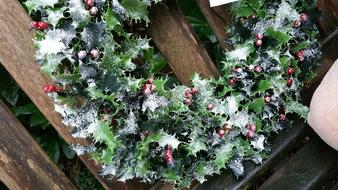 Christmas Wreath Snow green