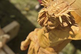 Figure Jesus Wood Crown