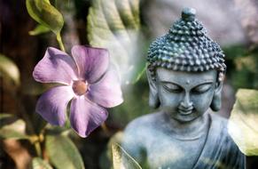 Buddha violet Flower