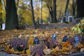Old Tomb Cemetery at autumn