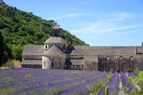 Monastery Church and violet flowers