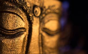 Gautama Buddha Figure face