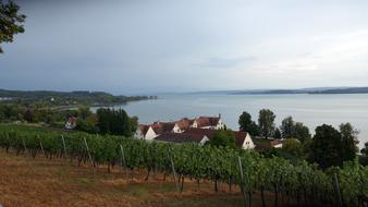 basilica Birnau by the lake