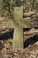 Tombstone cross of Cemetery in forest