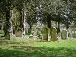 Cemetery Tombstone Death and tree green