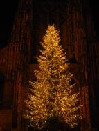 gold Christmas Tree MÃ¼nster