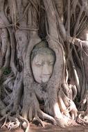 Beautiful face of Buddha in the wood, in Ayutthaya, Thailand