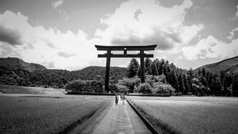 road through a field in the countryside in japan