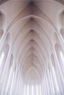 symmetrical cathedral arches