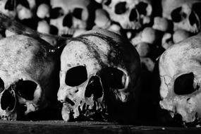 Skulls And Crossbones
