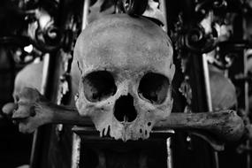 skull with bones in a crypt in Kutna Hora, Czech Republic