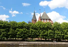 Tower Cathedral and trees