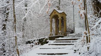Snow Chapel in forest